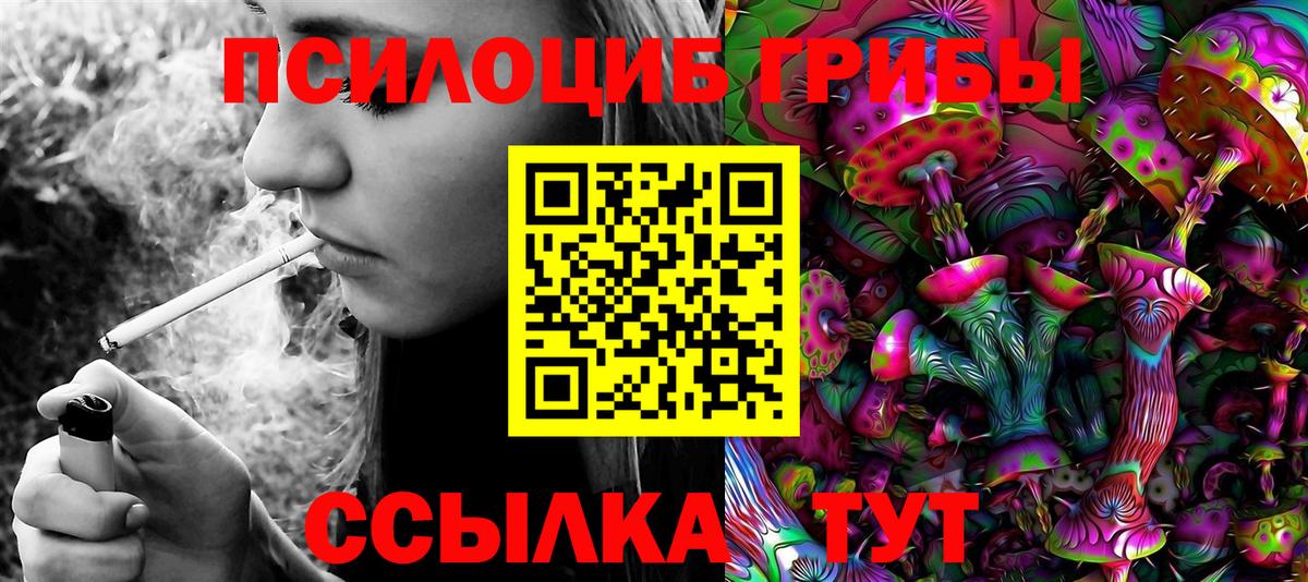 Псилоцибиновые грибы мицелий Урай