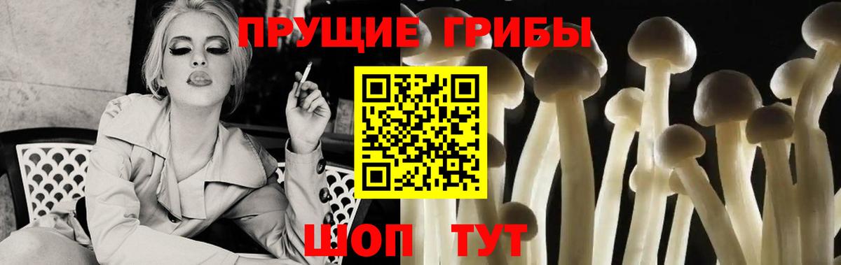 купить закладку  Вход с VPN  Галлюциногенные грибы мицелий  Урай  Галлюциногенные грибы Psilocybine cubensis 